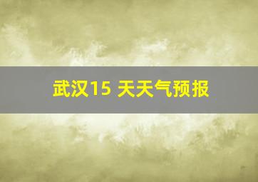 武汉15 天天气预报